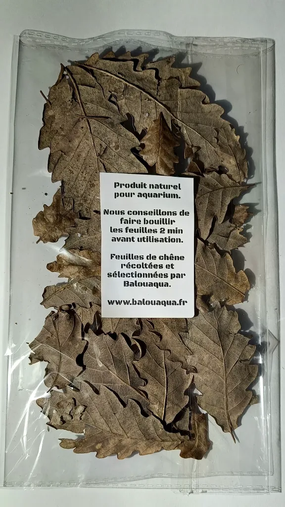 feuilles-chene-aquarium-crevettes.jpg