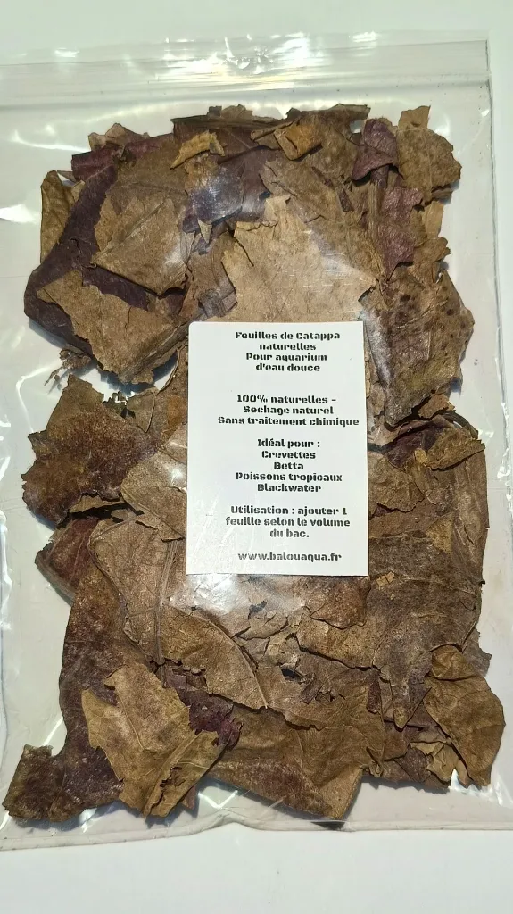 brisures-feuilles-catappa-aquarium-crevettes-10g-face.jpg