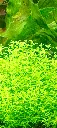 IMG_20260216_185555.webp