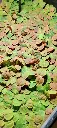 IMG_20260216_203211.webp