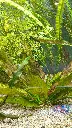 IMG_20260405_144026.webp