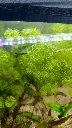 IMG_20260405_143915.webp
