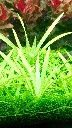 IMG_20260406_190123.webp