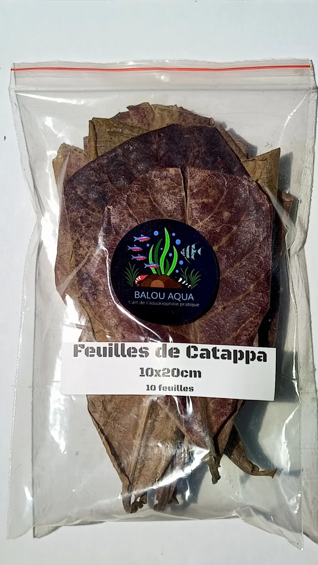 Feuilles de catappa naturelles pour aquarium – crevettes, poissons et eau noire